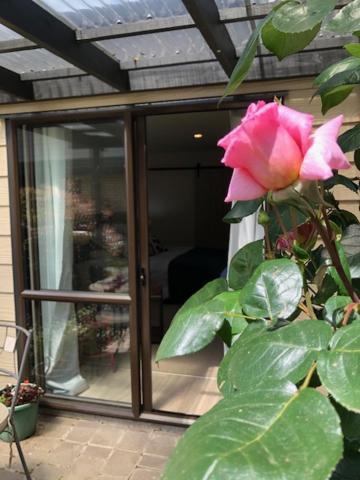 Cedar Park Bed&Breakfast Tamahere Bagian luar foto
